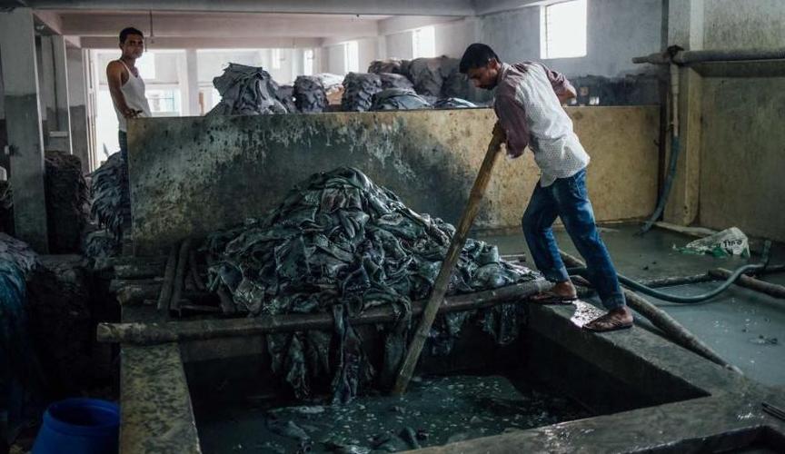 在孟加拉国的皮革工厂,处处可见赤膊工人将新鲜染过的山羊皮摊放在